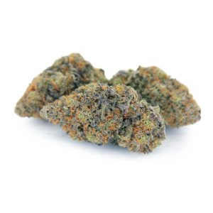 Sativa