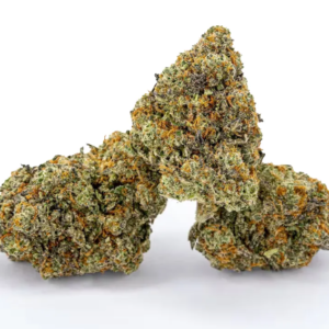 Indica