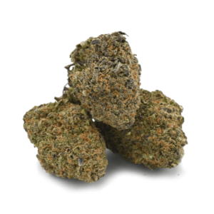 Black Gold Strain