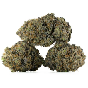 GMO Cookies Strain