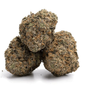 Gushers Strain