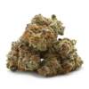 Strawberries and Cream Strain