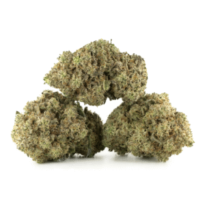 White Rutnz Strain