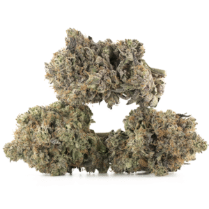 Island Sweet Skunk