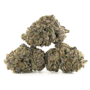 Blue Zushi Strain